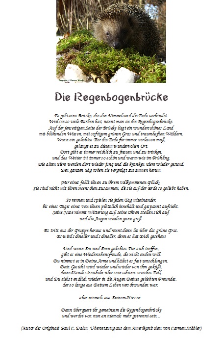 Nachdenkliches Und Gedichte Siehe Beschreibung Igelstation Weilheim